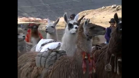 Vídeo: Conheça alguns rituais que ainda resistem no Peru