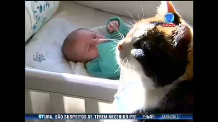 Vídeo: Especialistas afirmam que bebês e animais podem conviver em harmonia