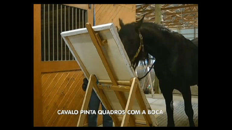 Vídeo: Conheça o cavalo que pinta quadros nos Estados Unidos
