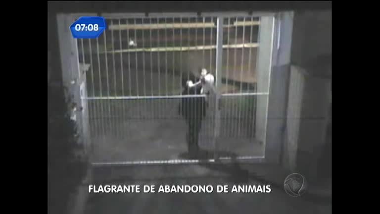 Vídeo: Câmeras de segurança registram abandono de animais em Novo Hamburgo (RS)