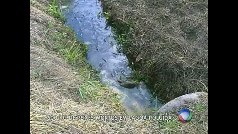 Vídeo: Lagoa contaminada em Ibirité tem 600kg de peixes mortos em dois dias