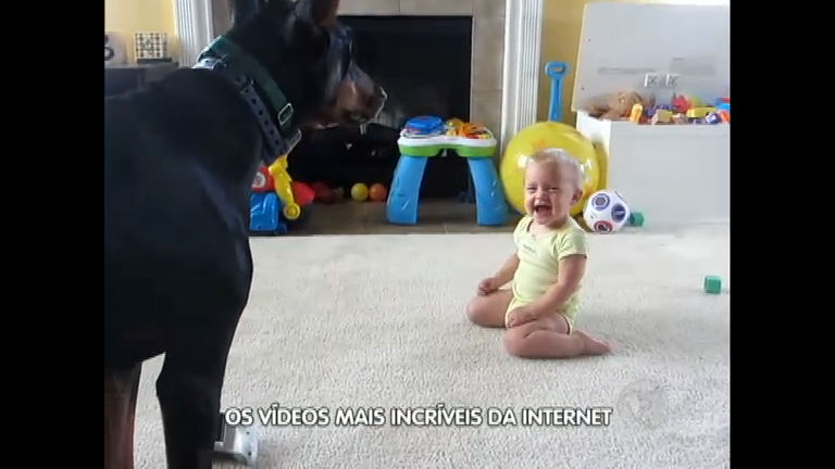 Vídeo: Bebê brinca sem medo com cachorrão. Veja os melhores vídeos da web
