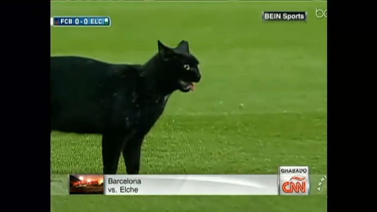 Vídeo: Azar? Gato preto invade campo em partida do Barcelona
