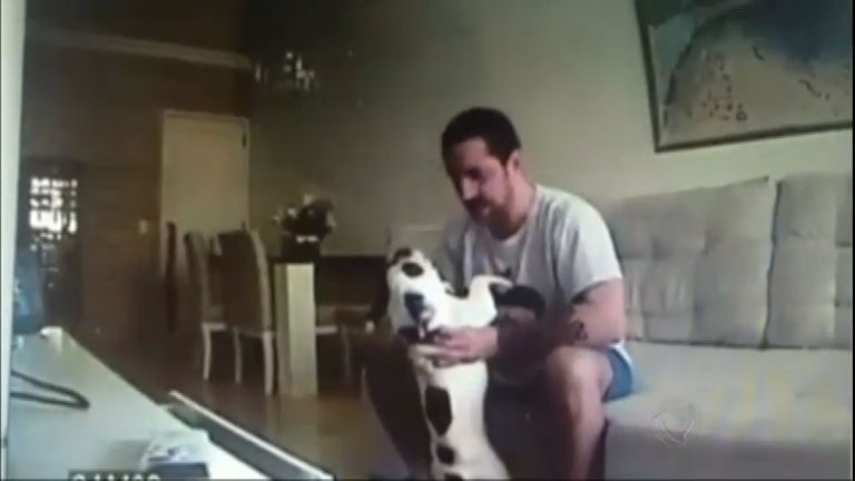 Vídeo: Mulher instala câmera e flagra noivo agredindo covardemente o cachorro dela