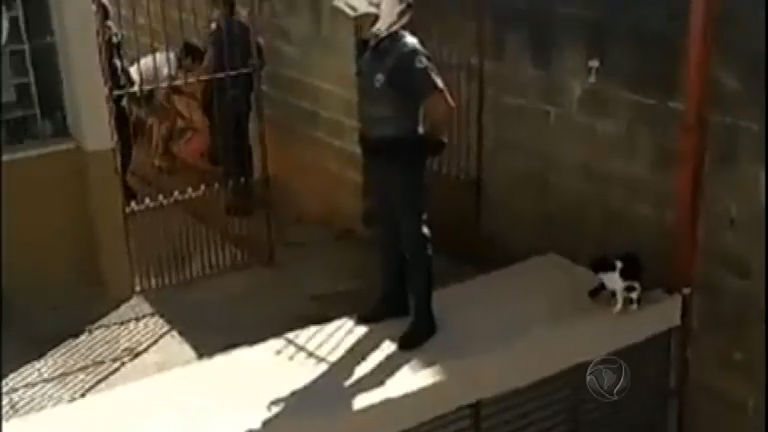 Vídeo: Homem é morto por PMs após discussão em conjunto habitacional de SP