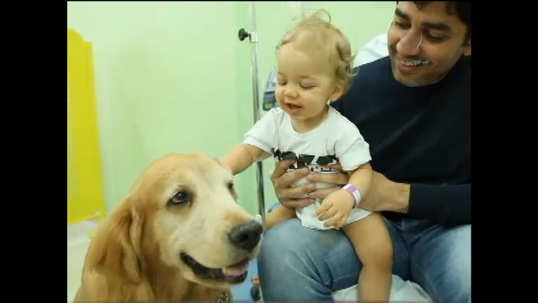 Vídeo: Ressoar: cachorros visitam crianças com câncer para ajudar no tratamento