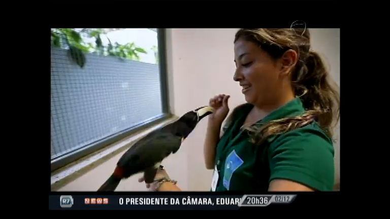 Vídeo: Conheça o trabalho de resgate de animais na Amazônia