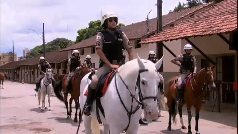 Vídeo: Mulheres rompem barreiras e quebram preconceitos na Cavalaria da Polícia Militar de BH