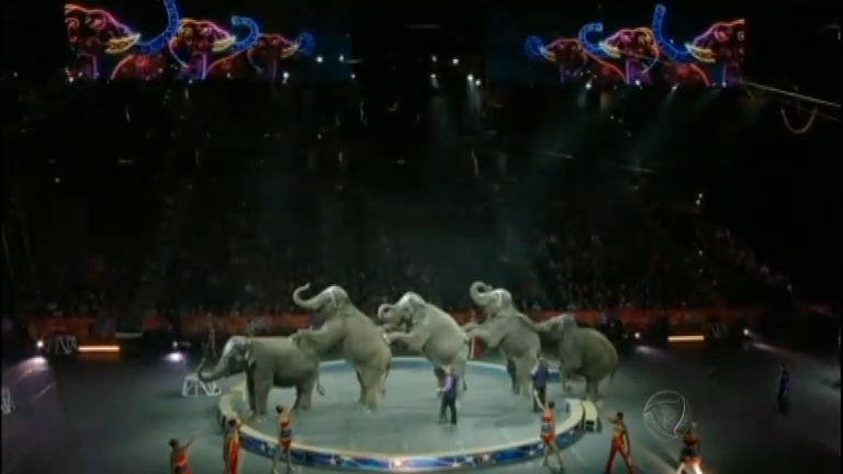 Vídeo: Depois de 145 anos, circo aposenta elefantes nos Estados Unidos