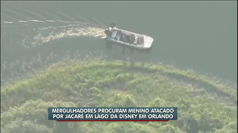 Vídeo: Jacarés são sacrificados durante buscas por criança na Disney