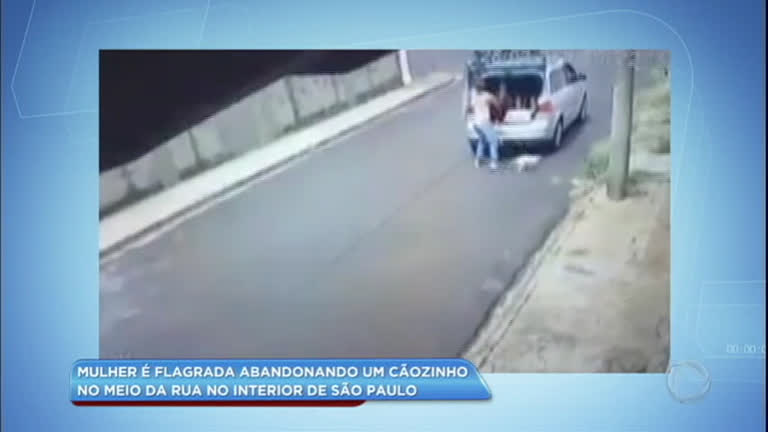 Vídeo: 

Mulher é flagrada abandonando cão no
meio da rua em SP

