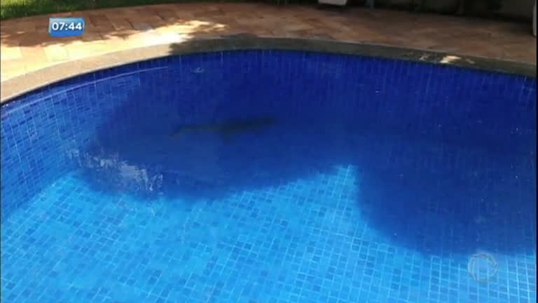 Vídeo: 

Jacaré é encontrado dentro de piscina no
interior de São Paulo

