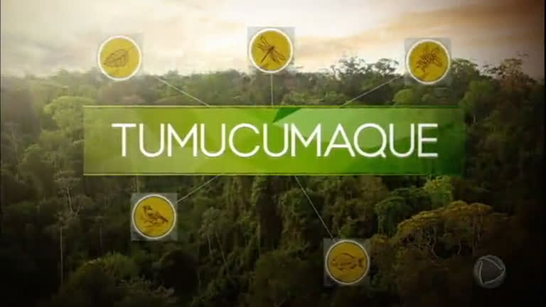 Vídeo: Nova série do JR embarca em uma expedição pelas Montanhas do Tumucumaque