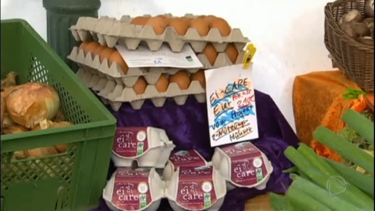Vídeo: 15 países da União Europeia são afetados por crise de ovos contaminados