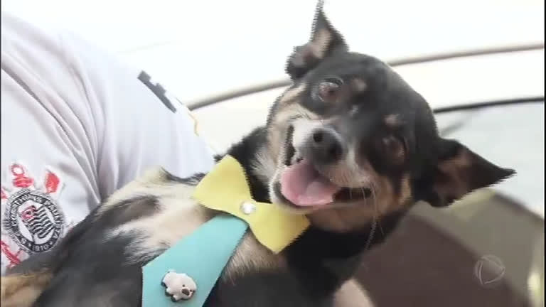 Vídeo: Conheça Neguinho, o cão que fez sucesso nas redes ao "cantar" com o dono a música do Corinthians