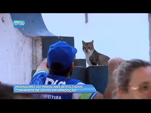 Vídeo: Imóvel é derrubado com gatos dentro no Maracanã, zona norte do Rio