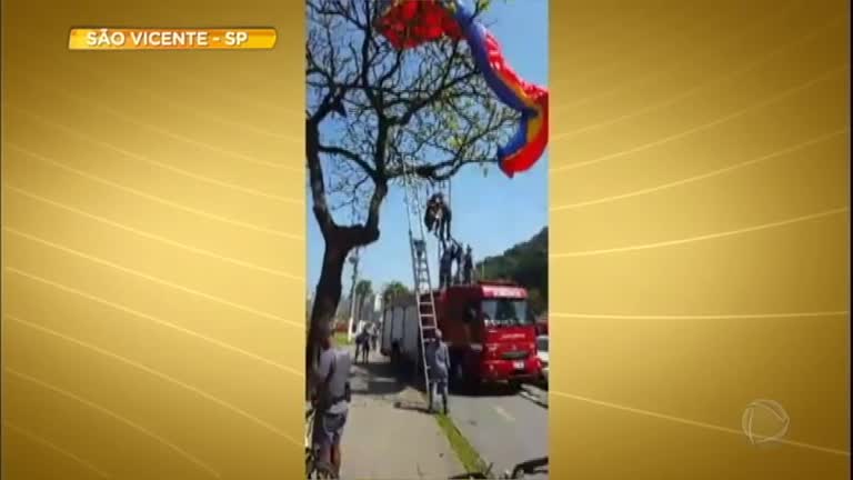 Vídeo: Piloto de paraglider fica pendurado após queda acidental em árvore