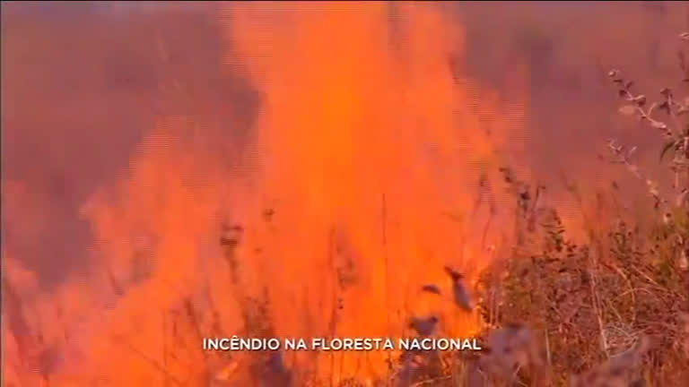 Vídeo: Incêndios na floresta nacional preocupa bombeiros