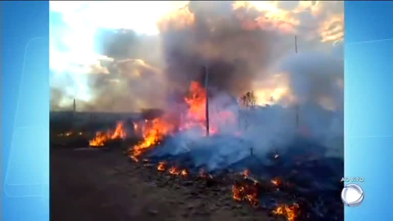 Vídeo: Incêndio florestal ameaça residências em Sobradinho