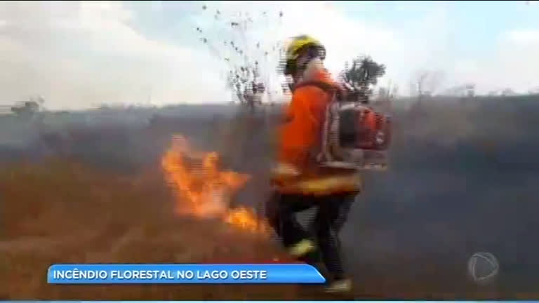 Vídeo: Clima seco provoca incêndio florestal no Lago Oeste