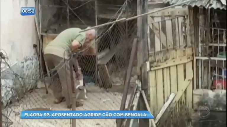 Vídeo: Reportagem do Dia : idoso agride cão com bengala