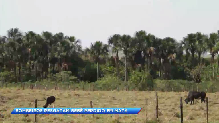 Vídeo: Garoto desaparecido é encontrado em Uberaba (MG)