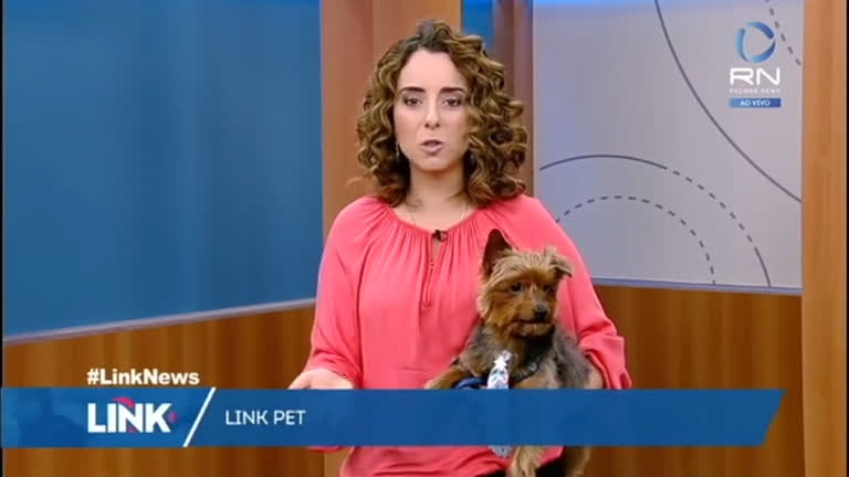 Vídeo: Link Pet: veja os cuidados especiais para cães e gatos nas festas de fim de ano