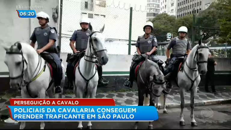 Suspeito forja lança e mata cavalo em Mogi das Cruzes (SP) - Notícias - R7  São Paulo
