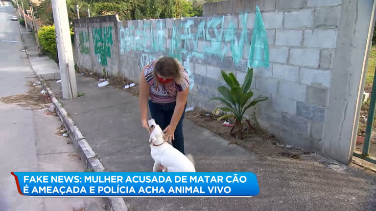 Vídeo: Mulher acusada de matar cão é ameaçada e polícia acha animal vivo