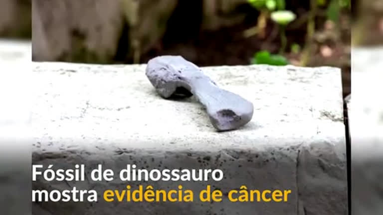 Vídeo: Cientistas descobrem câncer em fóssil de dinossauro
