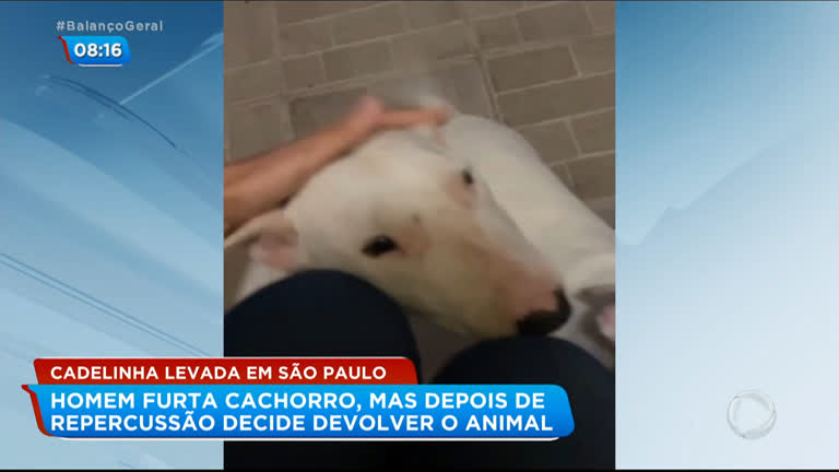 Vídeo: Ladrão arrependido devolve cão furtado após divulgação do crime na internet