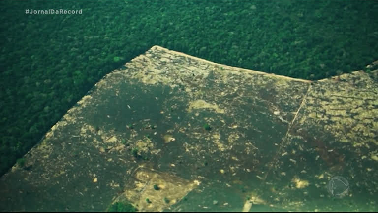 Vídeo: Mourão diz que governo vai prorrogar atuação das Forças Armadas na Amazônia até abril