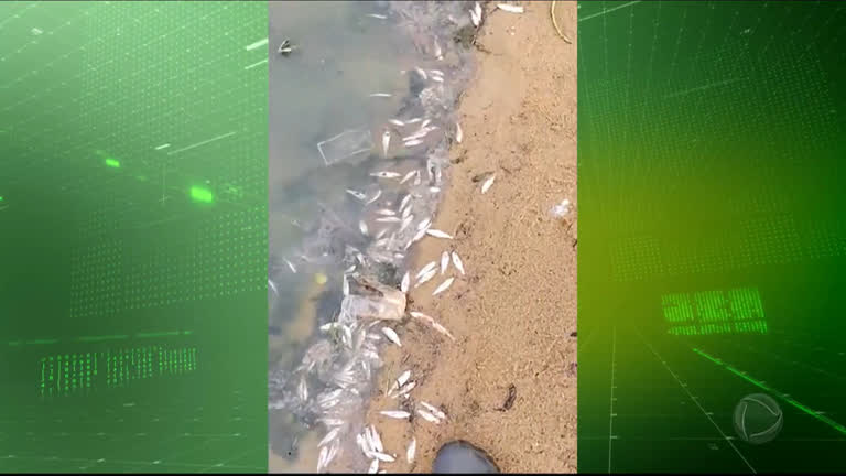 Vídeo: Represa Billings tem pior índice de contaminação desde 2015