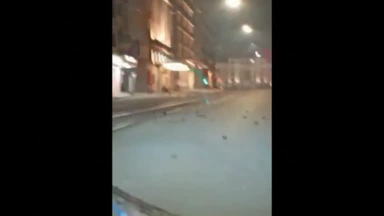 Vídeo: Centenas de pássaros morrem nas ruas de Roma após explosões de fogos