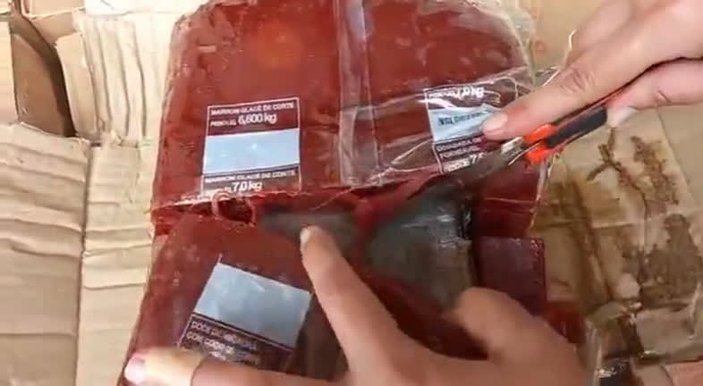 Vídeo: Receita encontra cocaína em carga de goiabada no Porto de Santos
