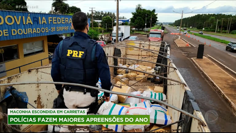 Vídeo: Polícia faz maiores apreensões de maconha do ano em Mato Grosso e Pernambuco