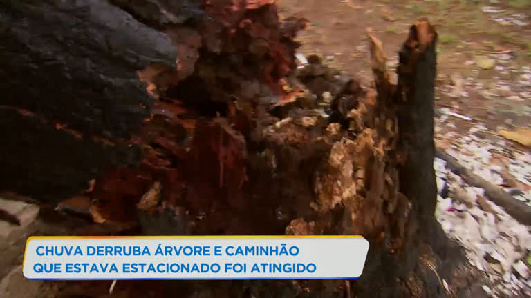 Peão brasileiro morre após ser pisoteado por touro em rodeio nos EUA -  RecordTV - R7 Balanço Geral