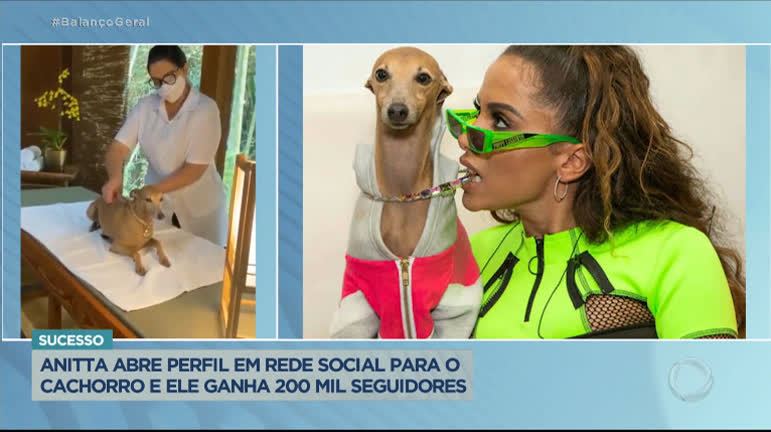 Vídeo: Cachorro de Anitta tem mais de 200 mil seguidores em rede social