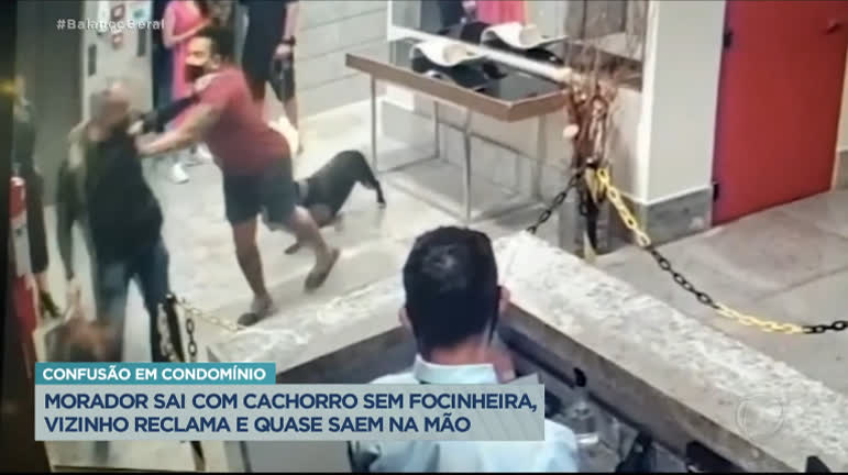 Vídeo: Vizinhos brigam por causa de cão sem focinheira