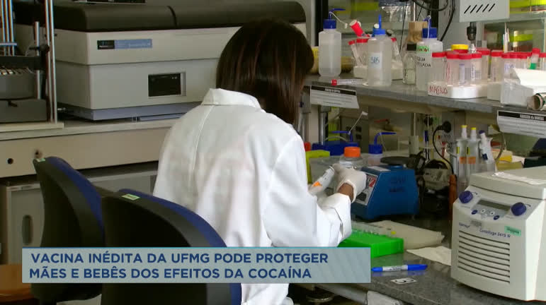 Vídeo: UFMG pesquisa vacina que protege mãe e bebê de efeitos da cocaína