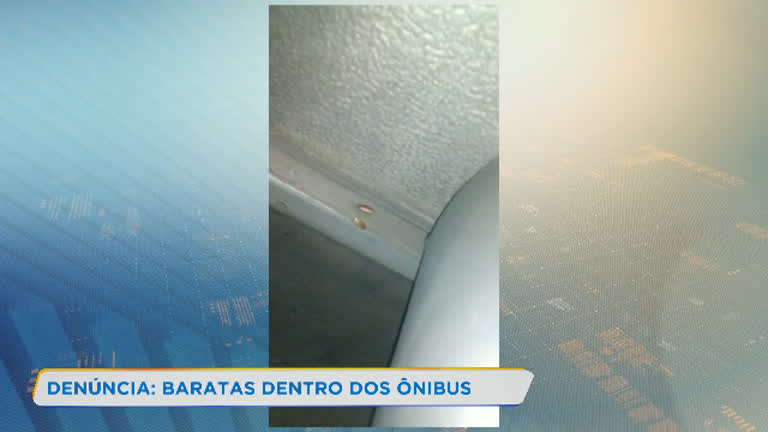 Vídeo: Vídeo mostra ônibus infestado por baratas em Belo Horizonte