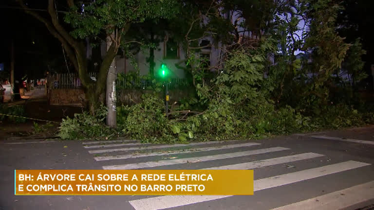 Vídeo: Árvore cai sobre a rede elétrica e complica trânsito em BH