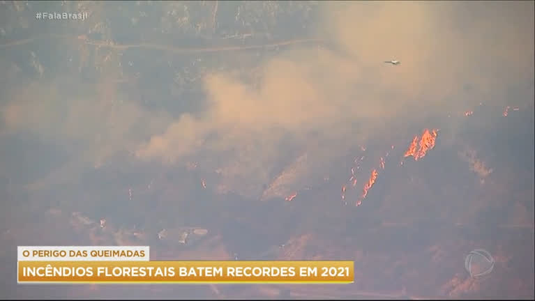 Vídeo: Incêndios florestais batem recorde de emissões em 2021