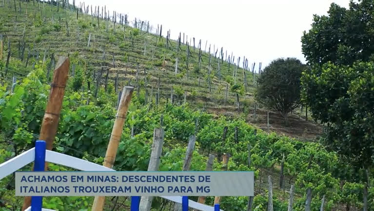 Vídeo: Achamos em Minas: Família traz cultura do vinho para Andradas
