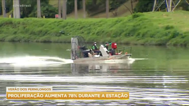 Vídeo: Aerobarco é usado para despejar inseticida contra pernilongos no rio Pinheiros