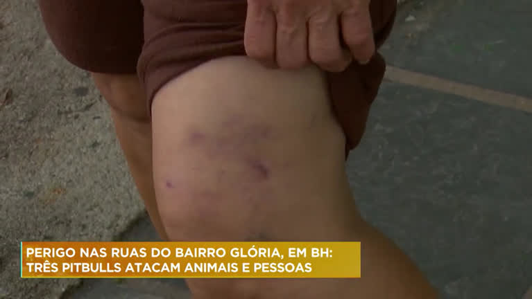 Vídeo: Moradores reclamam de cães que atacam pessoas e animais em BH