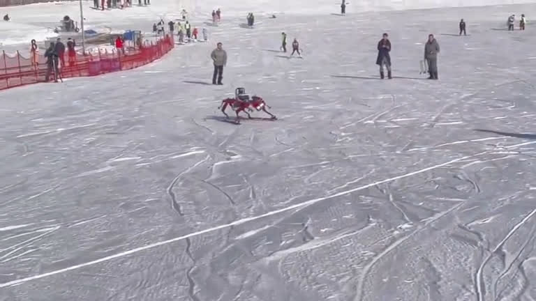 Vídeo: Vídeo de robô esquiando na neve chama a atenção de internautas