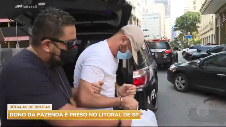 Vídeo: Fazendeiro acusado de maus-tratos a búfalas é preso no litoral de SP