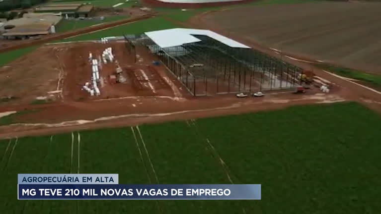 Vídeo: Agronegócio cresce e empregos aumentam no interior de Minas