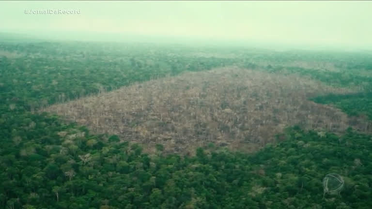 Vídeo: Mourão admite que janeiro foi o pior mês do governo em relação ao desmatamento na Amazônia